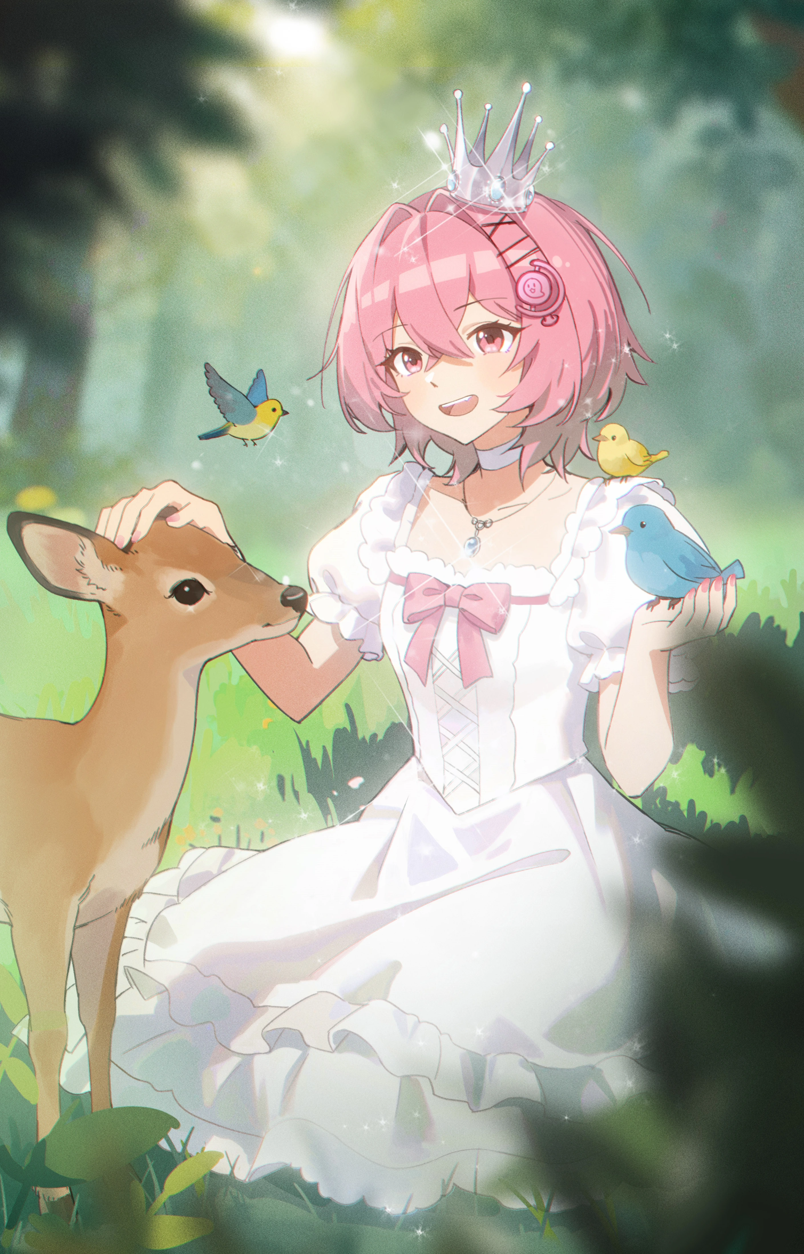 B站@树白（UID14676535）